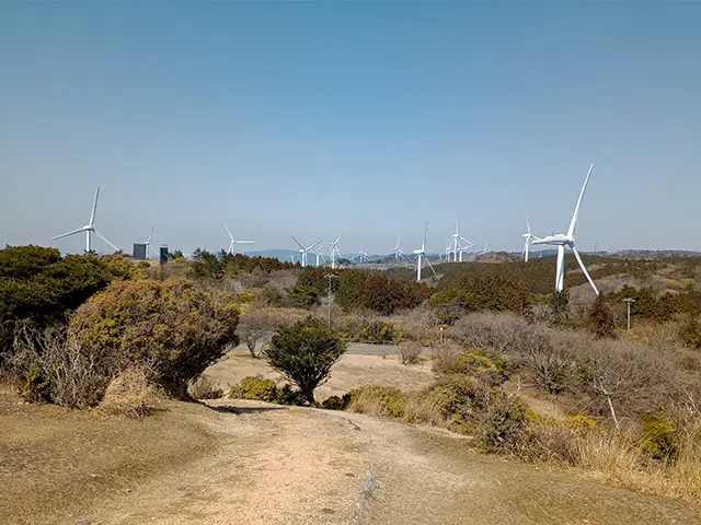 20260326